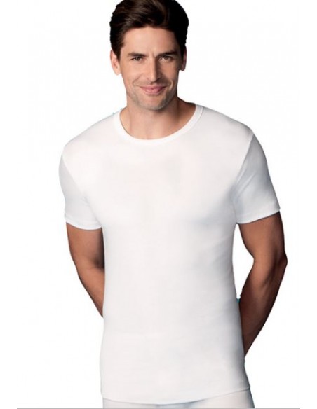 CAMISETA MANGA CORTA  256 ABANDERADO