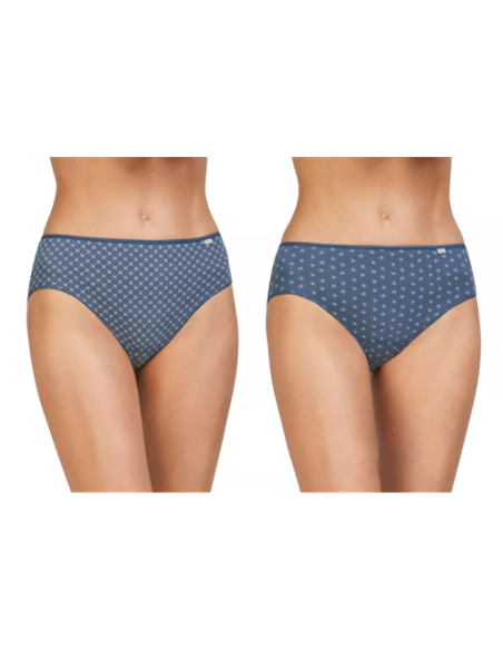 PACK 254 DOS BRAGAS MIDI AVET