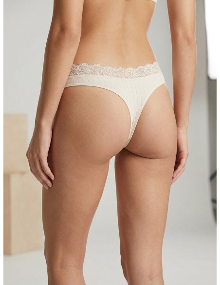 TANGA 34116 AVET